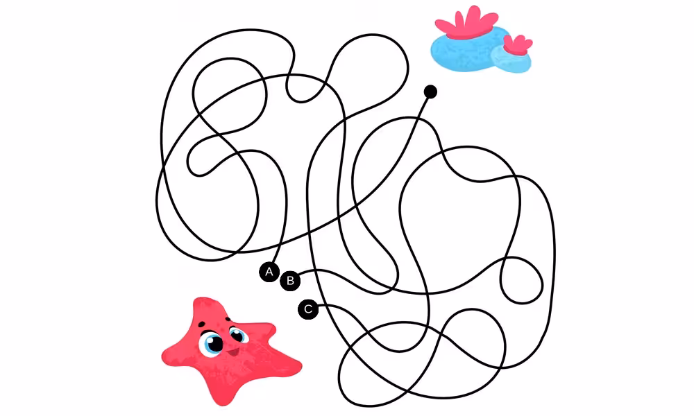 LABYRINT-QUIZ FOR BØRN # 1 16