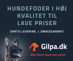 HUNDE-QUIZ # 1 23 HUNDE-QUIZ # 1 23