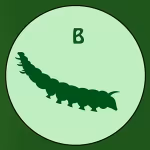 FIND DEN RIGTIGE SKYGGE-QUIZ # 1 16