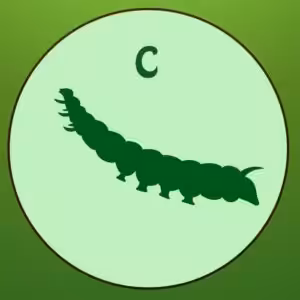 FIND DEN RIGTIGE SKYGGE-QUIZ # 1 17