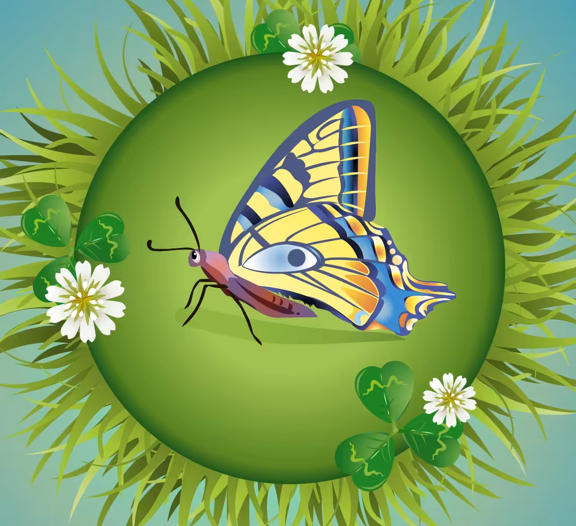 FIND DEN RIGTIGE SKYGGE-QUIZ # 1 2