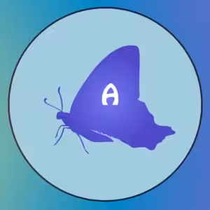 FIND DEN RIGTIGE SKYGGE-QUIZ # 1 3