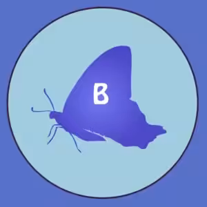 FIND DEN RIGTIGE SKYGGE-QUIZ # 1 4