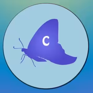 FIND DEN RIGTIGE SKYGGE-QUIZ # 1 5