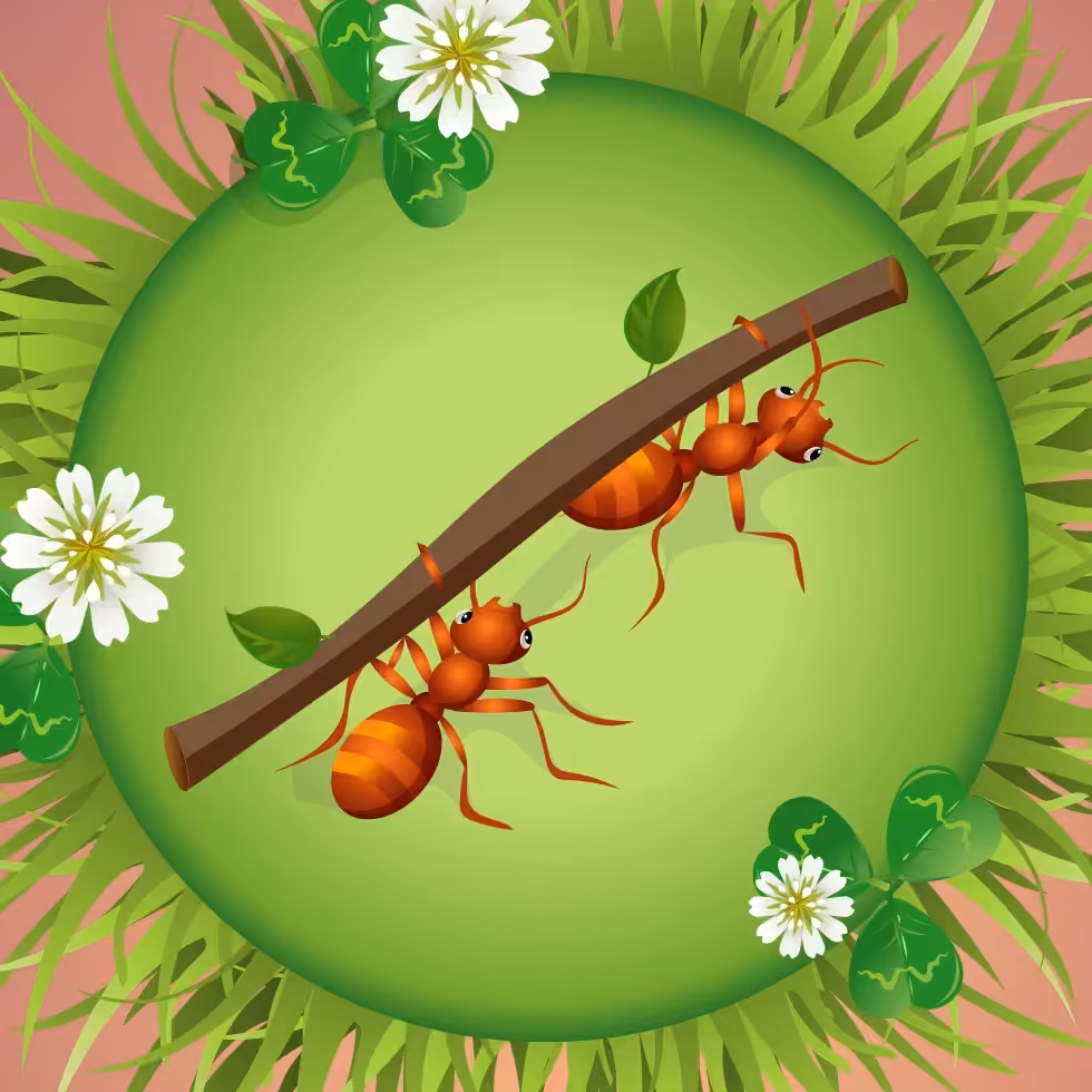 FIND DEN RIGTIGE SKYGGE-QUIZ # 1 10