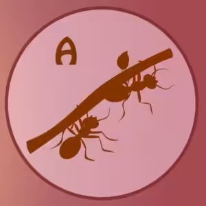 FIND DEN RIGTIGE SKYGGE-QUIZ # 1 11