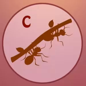 FIND DEN RIGTIGE SKYGGE-QUIZ # 1 13