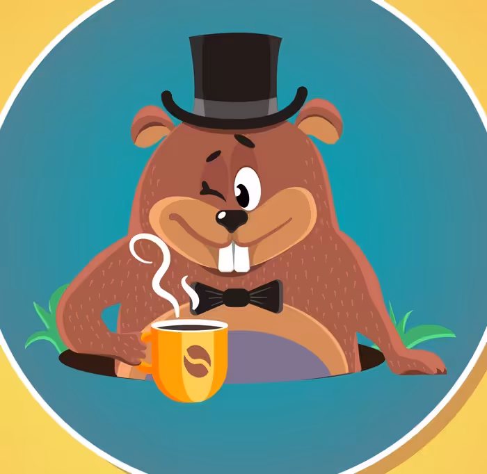 FIND DEN RIGTIGE SKYGGE-QUIZ # 1 6