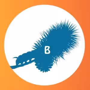 FIND DEN RIGTIGE SKYGGE-QUIZ # 1 20