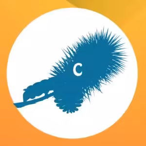 FIND DEN RIGTIGE SKYGGE-QUIZ # 1 21