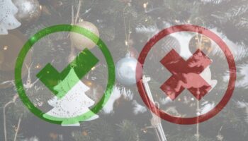 SANDT ELLER FALSK?-JULEQUIZ # 1 1 SANDT ELLER FALSK?-JULEQUIZ # 1 1