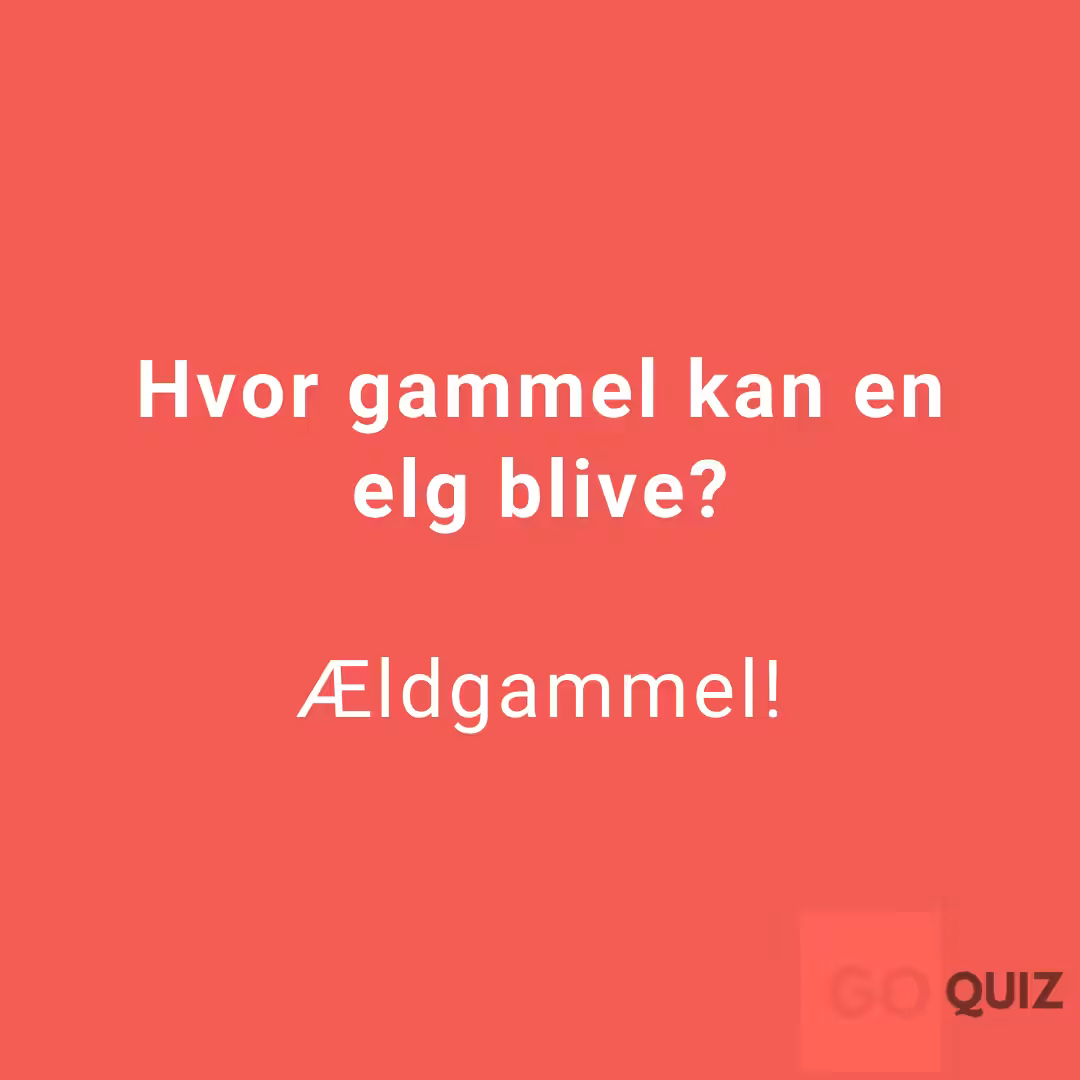 Far jokes 26 Far jokes 26