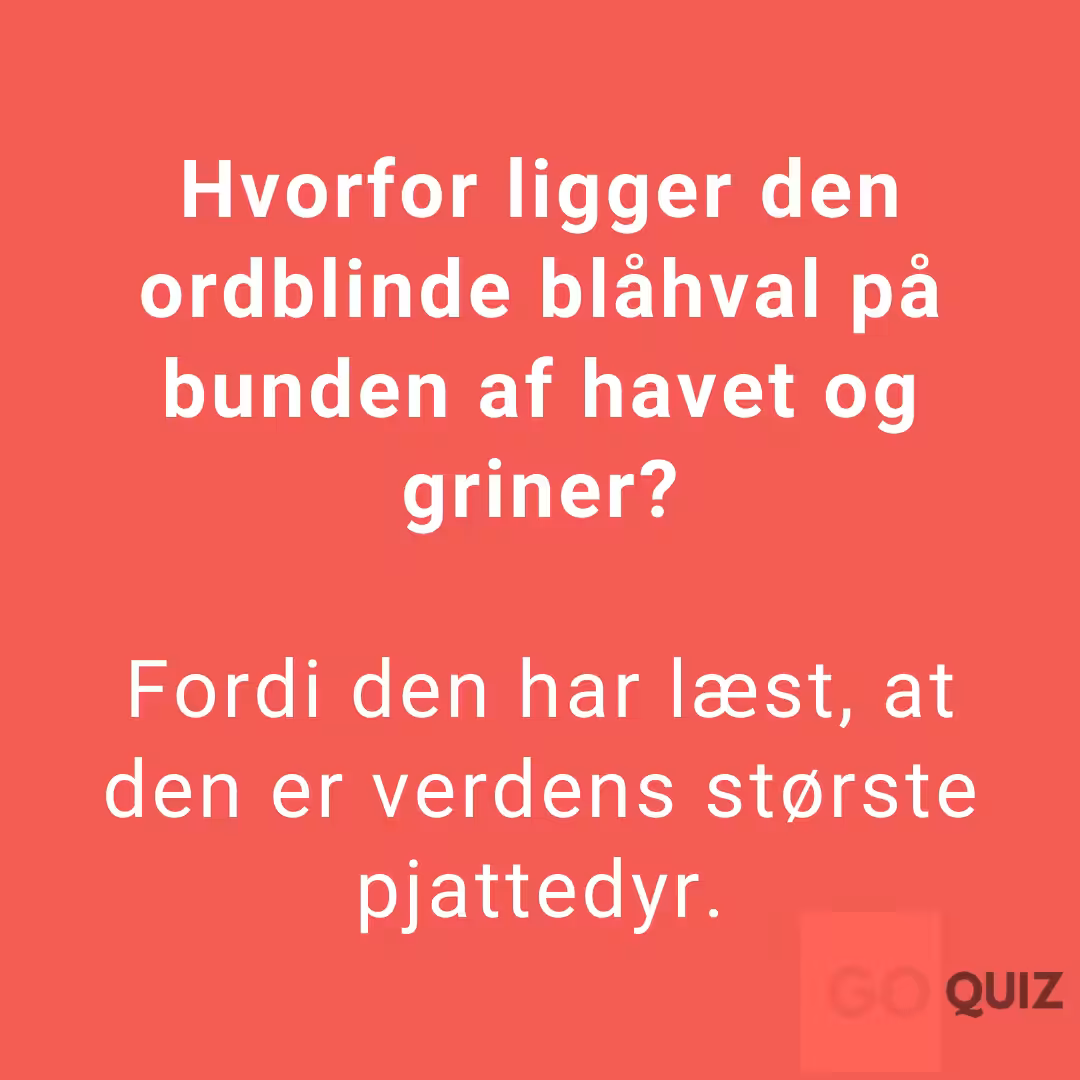 Far jokes 42 Far jokes 42