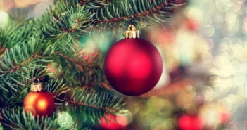 JULEQUIZ (FOR VOKSNE) # 33 3