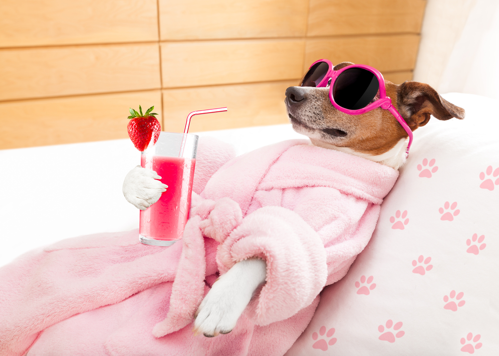 shutterstock_451206763