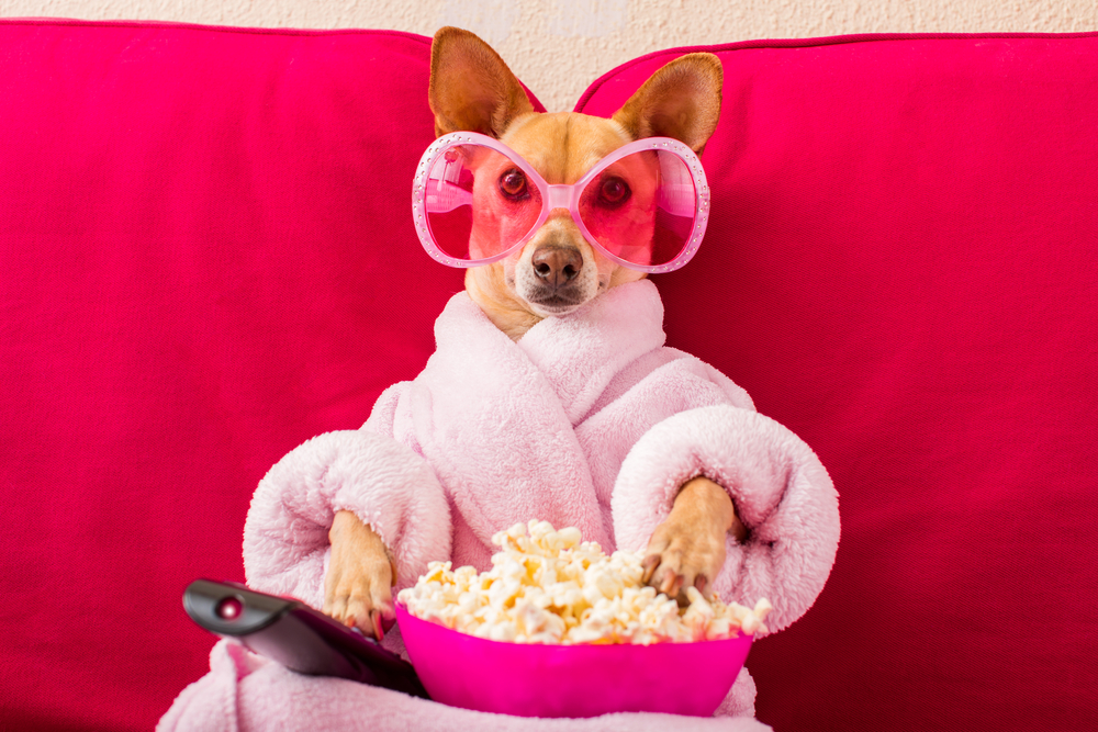 shutterstock_633648026