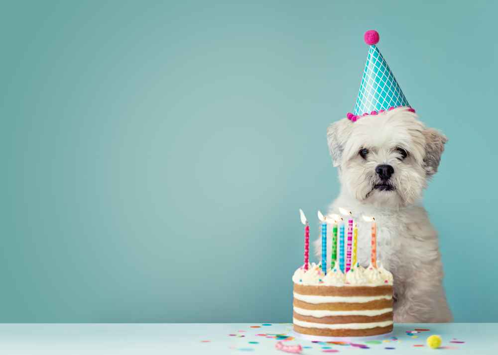 shutterstock_712480588